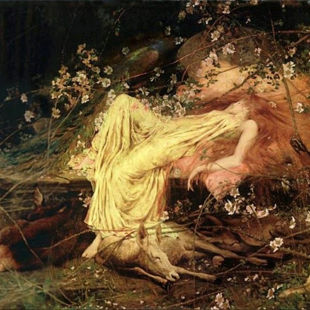 Meet your Posher, Ella